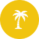 Palmera
